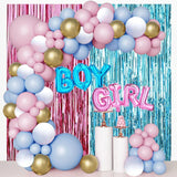Party & Box Gender Guess Party Boy or Girl